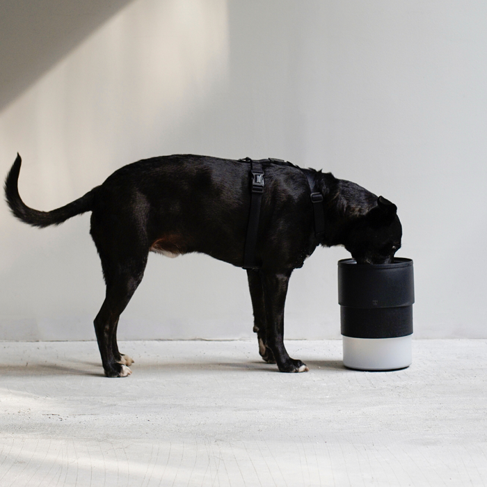 The Zee.Bowl Elevated Slow Feeder Dog Bowl