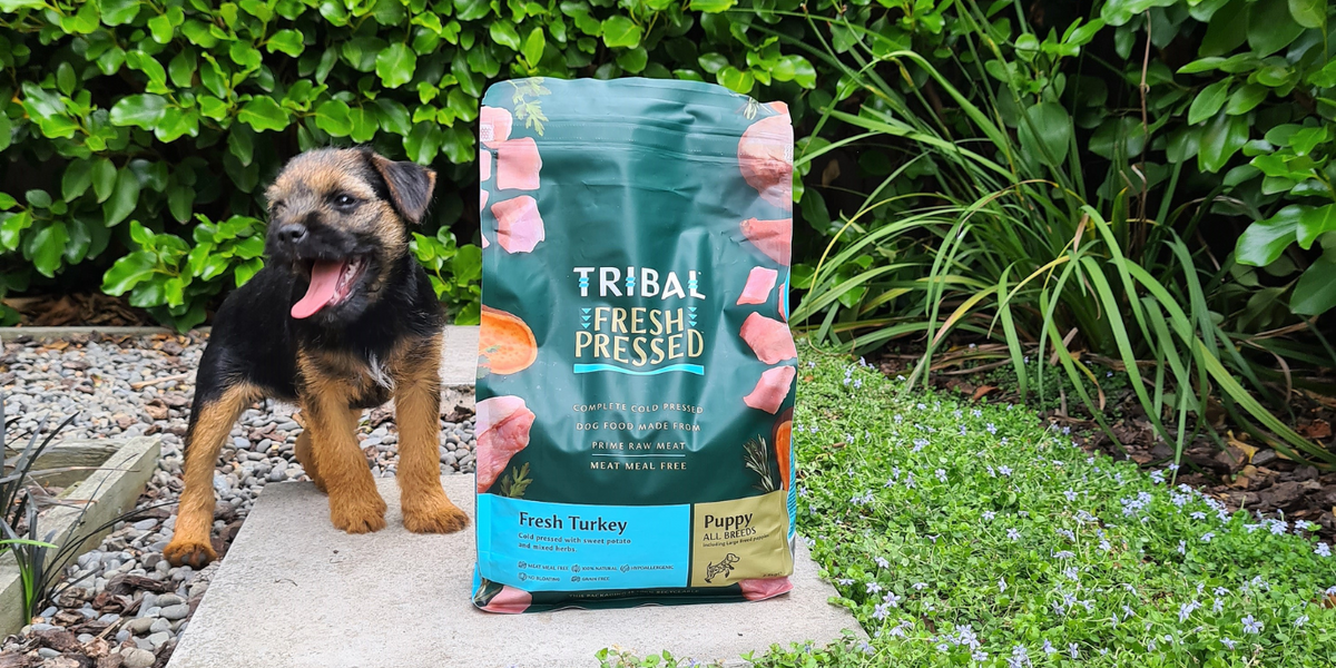 Dog Food for Puppies Banquet Pet NZ