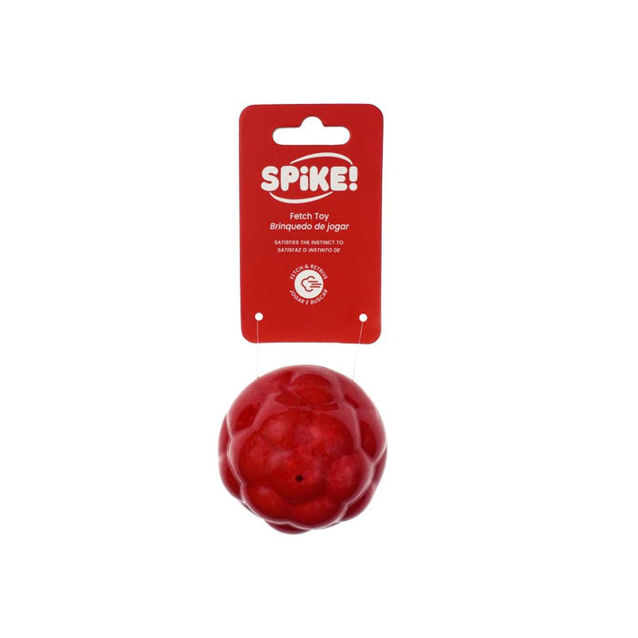 Spike Ball Blob Dog Toy