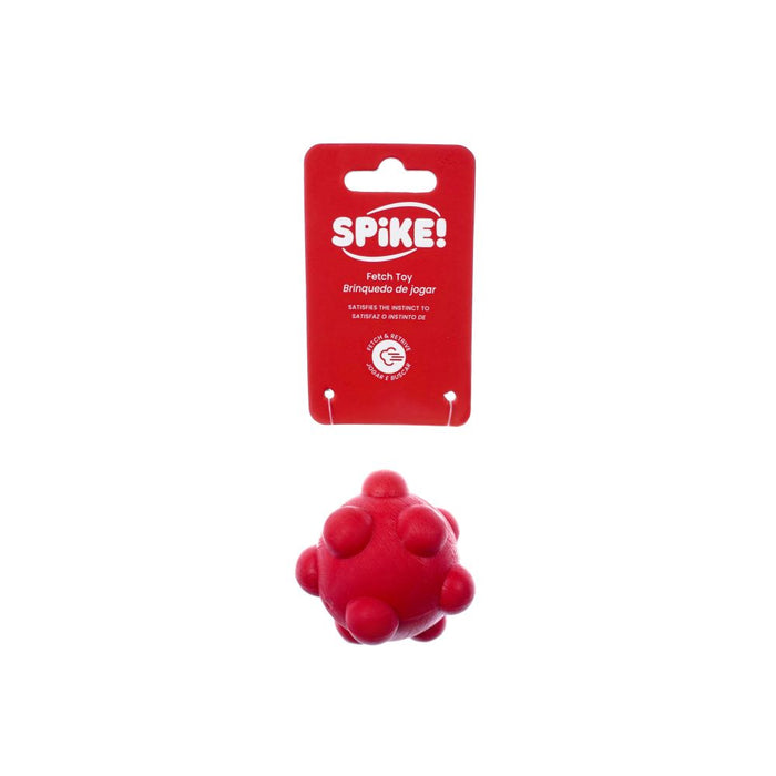 Spike Ball Asteroid Dog Toy