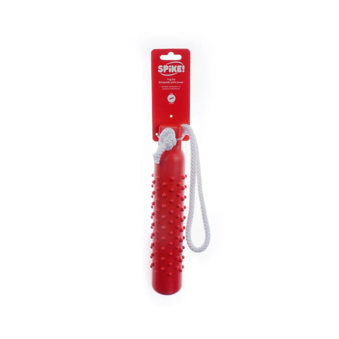 Spike Rope Buoy Dog Toy