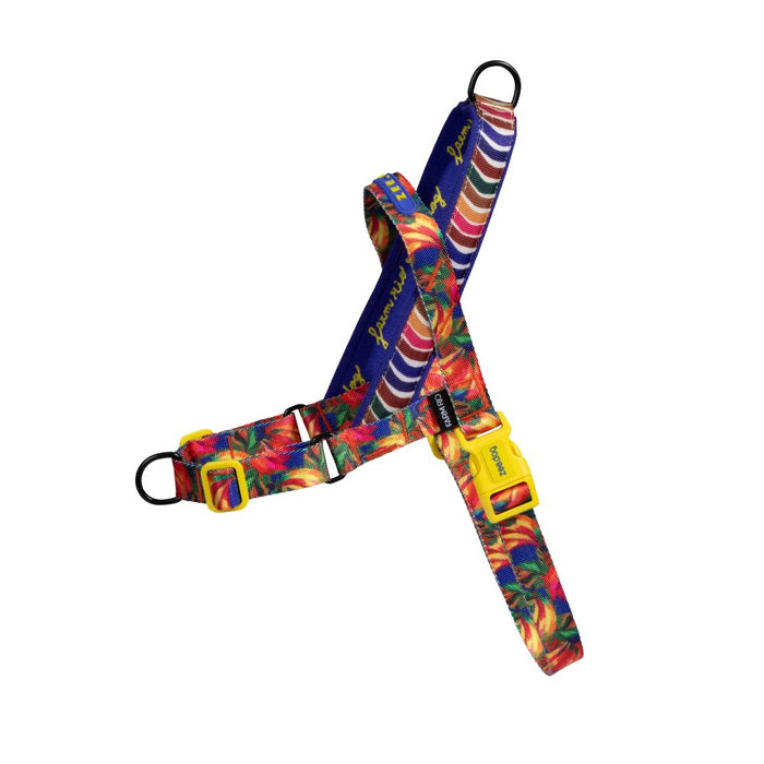 Zee.Dog Softer Walk No-Pull Harness - Samba