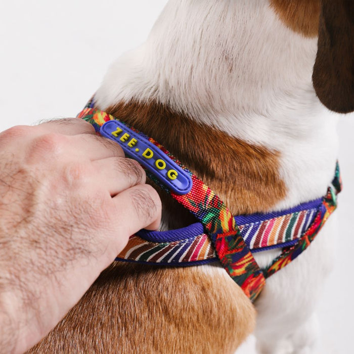 Zee.Dog Softer Walk No-Pull Harness - Samba
