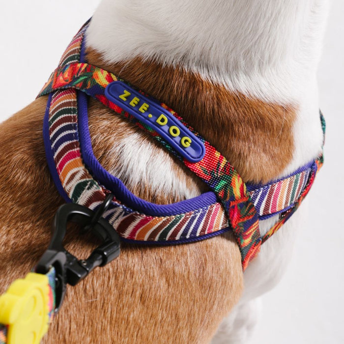 Zee.Dog Softer Walk No-Pull Harness - Samba