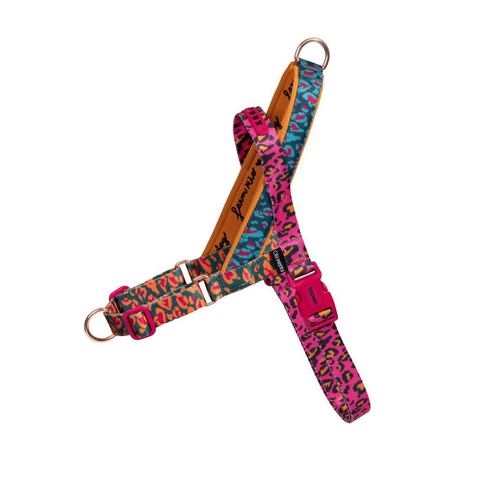 Zee.Dog Softer Walk No-Pull Harness - Selva