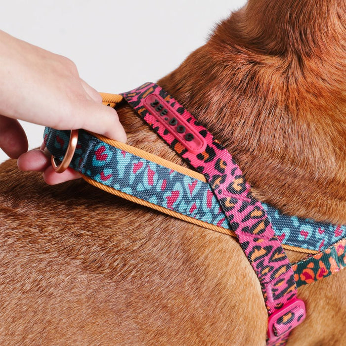 Zee.Dog Softer Walk No-Pull Harness - Selva