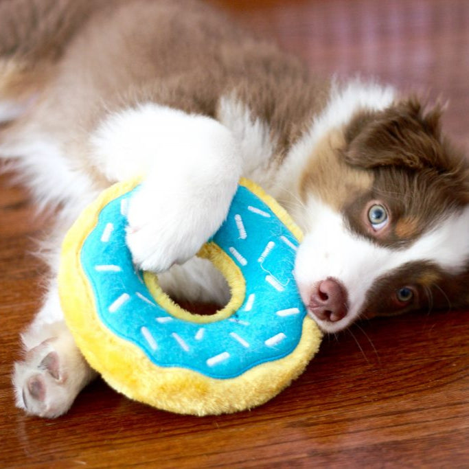 ZippyPaws - Donutz Blueberry