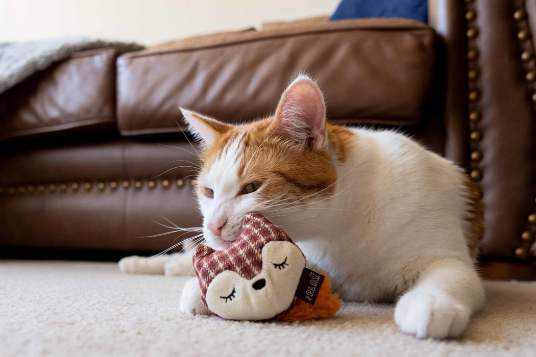 P.L.A.Y. Feline Frenzy - Foxsy & Hopsy Toy Set