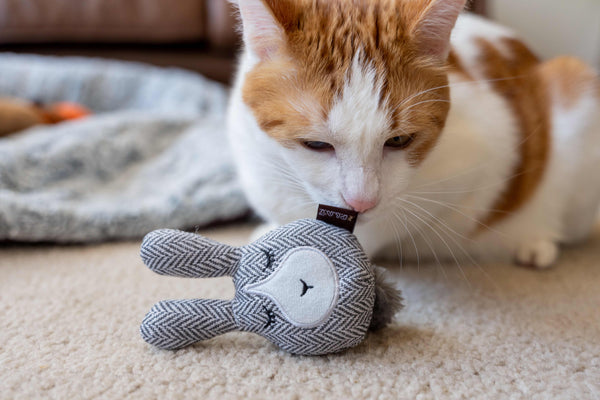 P.L.A.Y. Feline Frenzy - Foxsy & Hopsy Toy Set