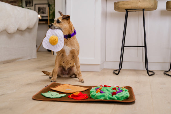 P.L.A.Y. Savory Sunrise Snuffle Mat