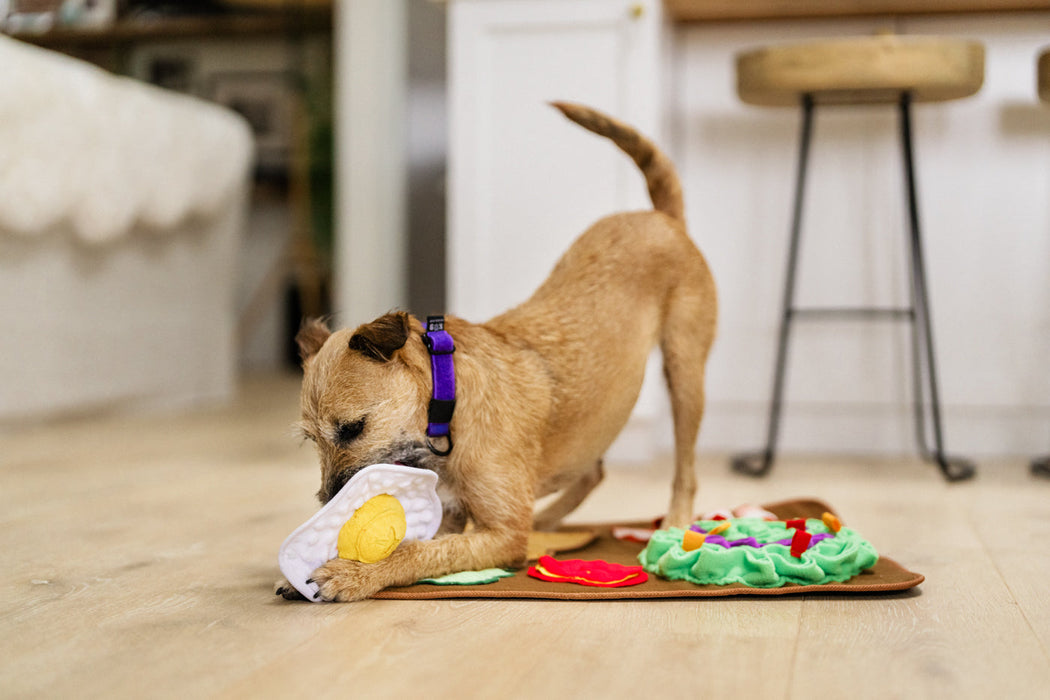 P.L.A.Y. Savory Sunrise Snuffle Mat
