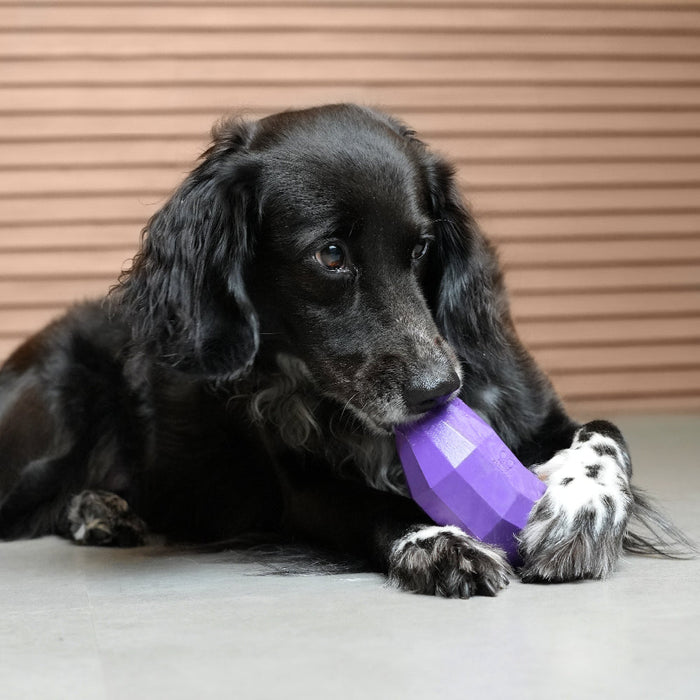Zee.Dog Toy Super Veggiez - Eggplant