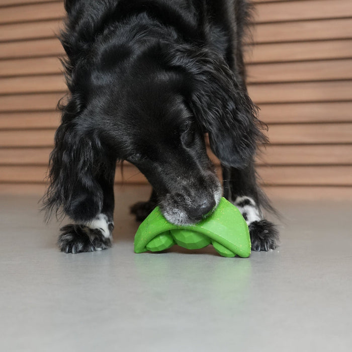 Zee.Dog Toy Super Veggiez - Green Peas