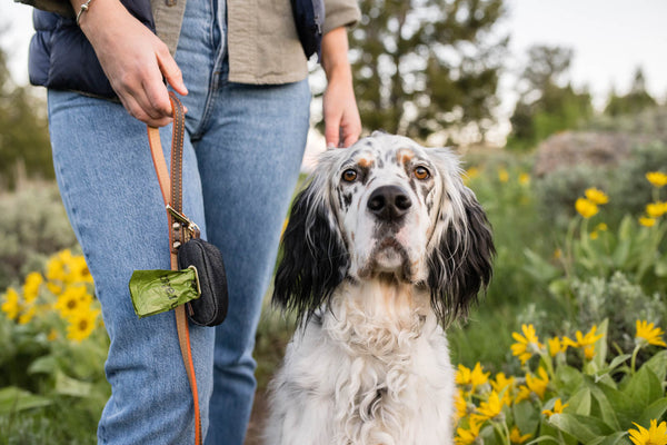 P.L.A.Y.  Proper Pup Poop Bag Dispenser - Urban Denim