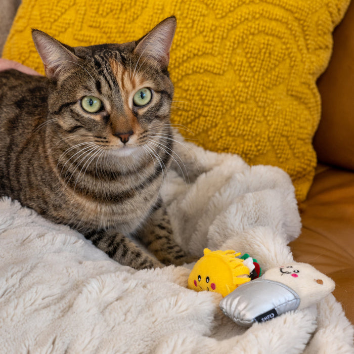ZippyClaws Cat Toy NomNomz Taco & Burrito 2-Pack