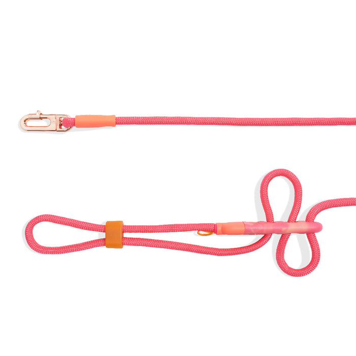 Zee.Dog Hands-Free Leash - Gazelle