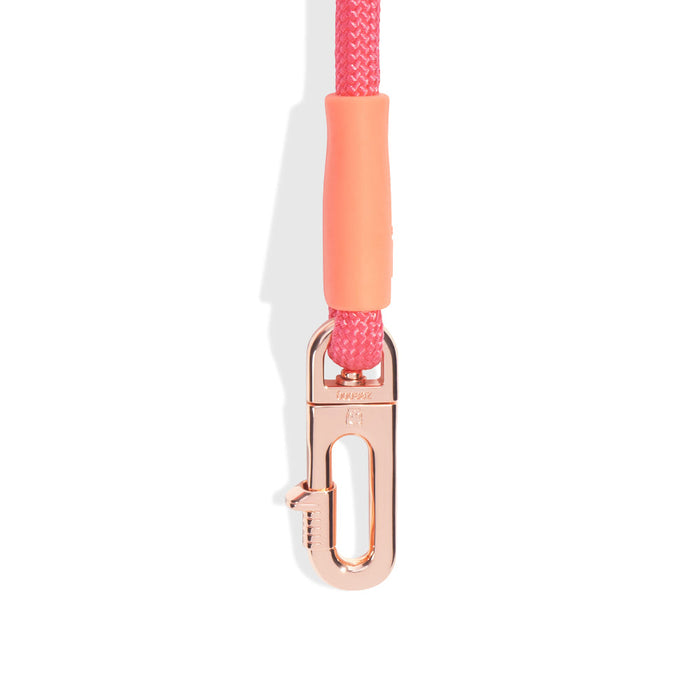Zee.Dog Hands-Free Leash - Gazelle