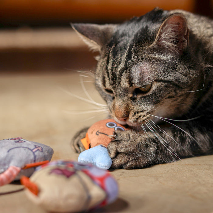 CDSG Cat Toy - Robert Mouse