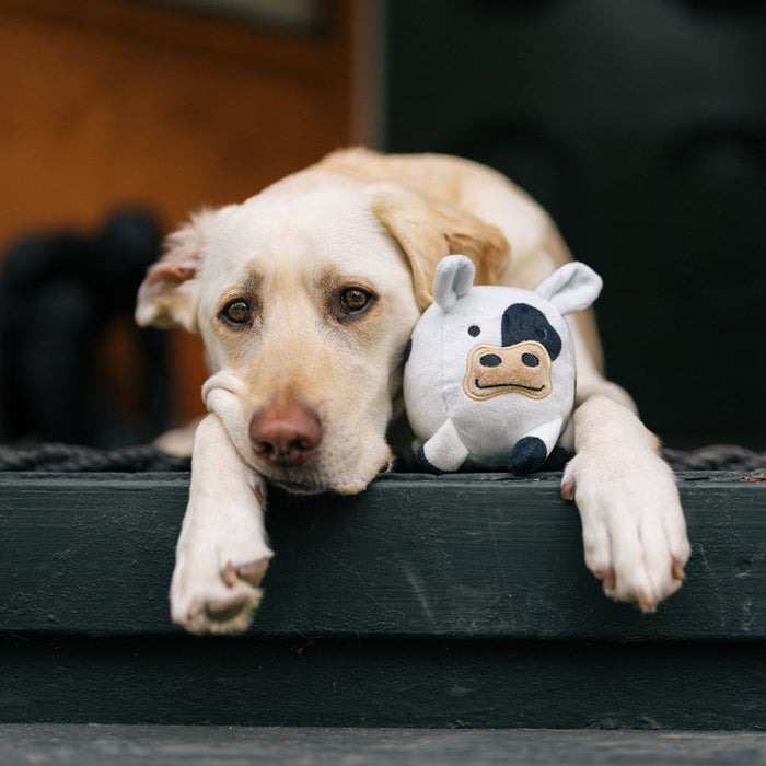 P.L.A.Y. Barnyard Buddies - Cole the Cow