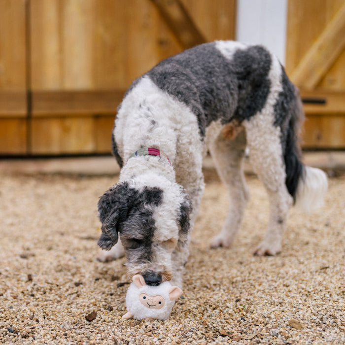 P.L.A.Y. Barnyard Buddies - Sadie the Sheep