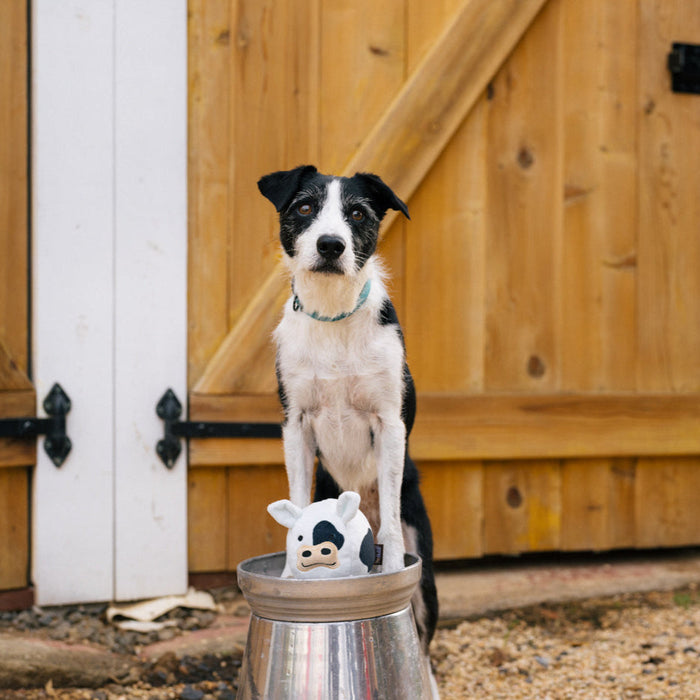 P.L.A.Y. Barnyard Buddies - Cole the Cow