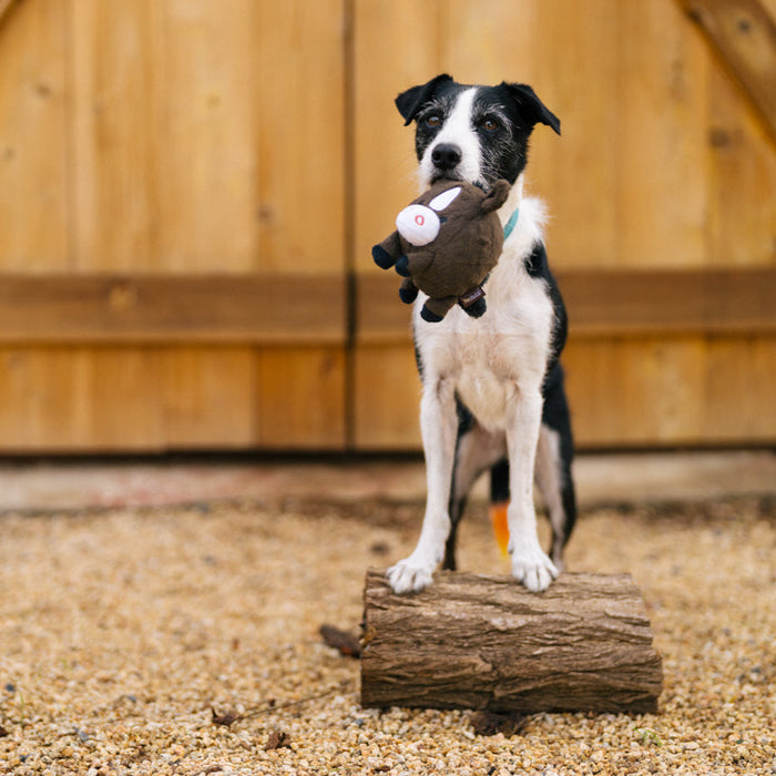 P.L.A.Y. Barnyard Buddies - Harley the Horse