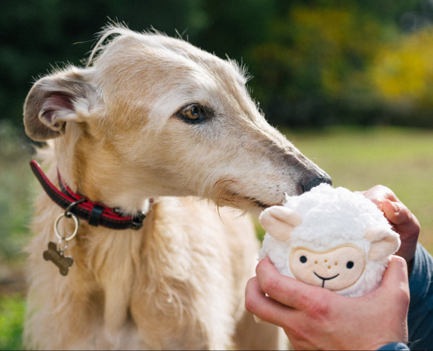 P.L.A.Y. Barnyard Buddies - Sadie the Sheep