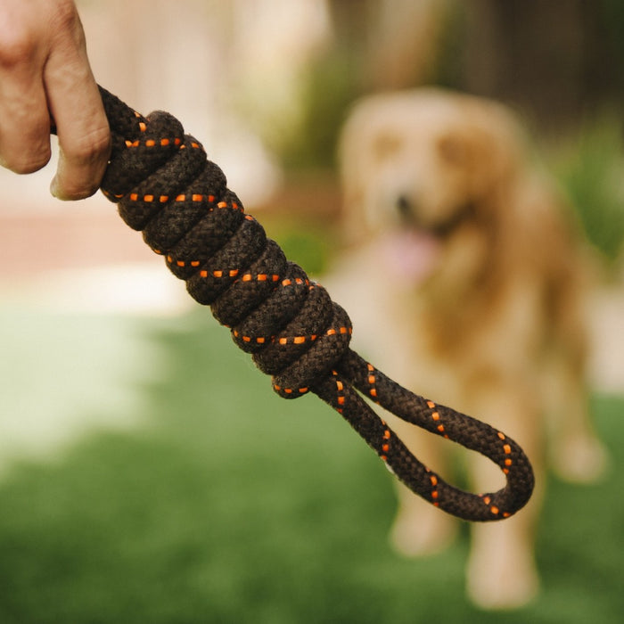 P.L.A.Y. Scout & About - Rope Toy - Tug - Small