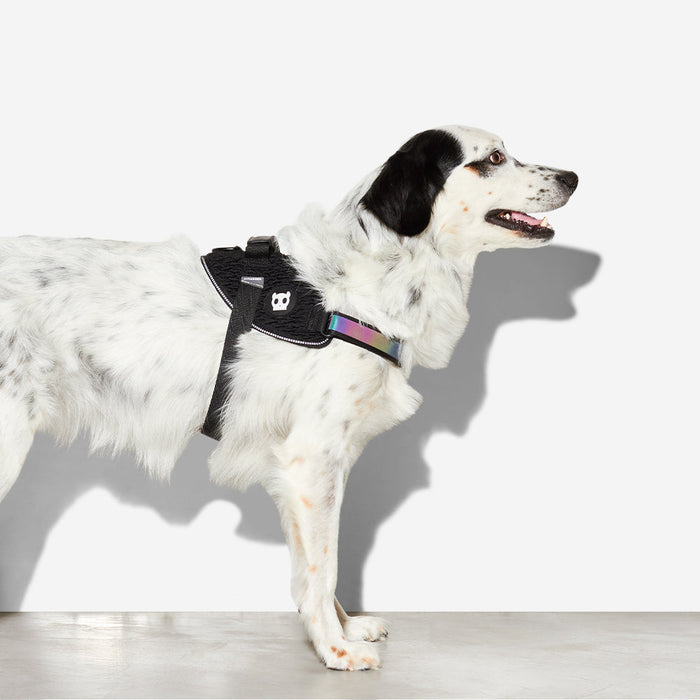 Zee.Dog | Gotham Fly Harness