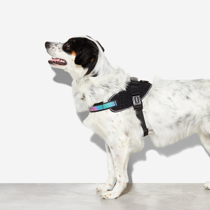 Zee.Dog | Gotham Fly Harness