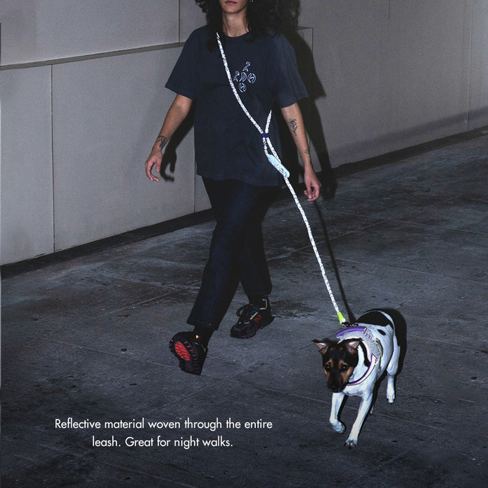 Zee.Dog HandsFree Leash Reflective Nox — Banquet Pet NZ