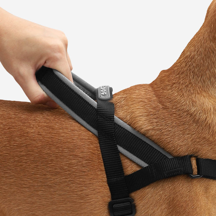 Zee.Dog | Softer Walk Harness - Gotham