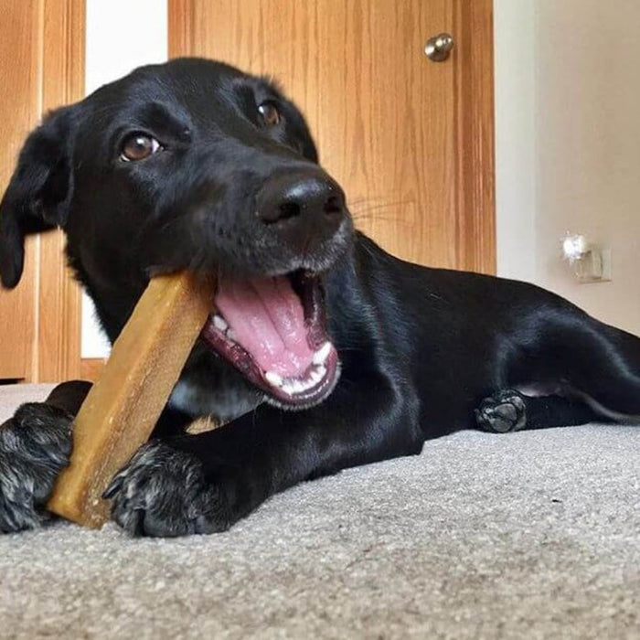Yeti Dog Chew - Extra Large