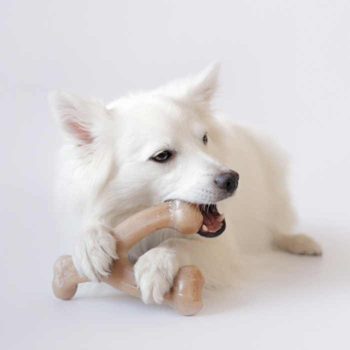 Benebone Wishbone Bacon Chew Toy - Small