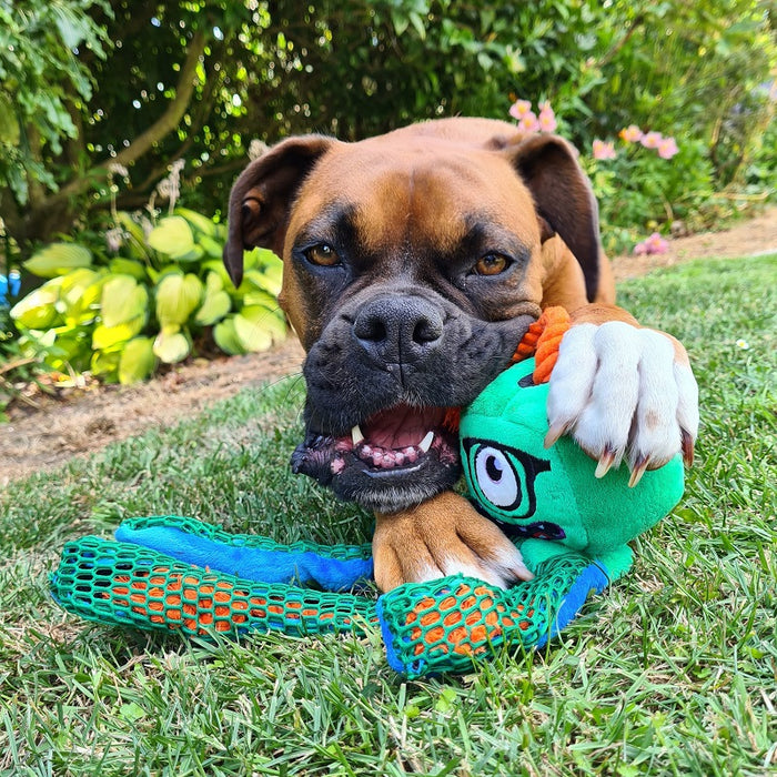 CJ the NZ Boxer dog loves her green GiGwi Monster Rope toy