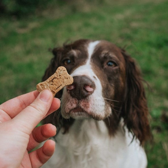 chews for dogs with Coconut, Banana & Peanut Butter flavors