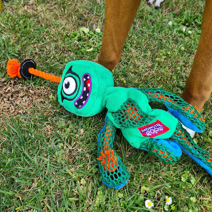 Dog toy shop with rope inside