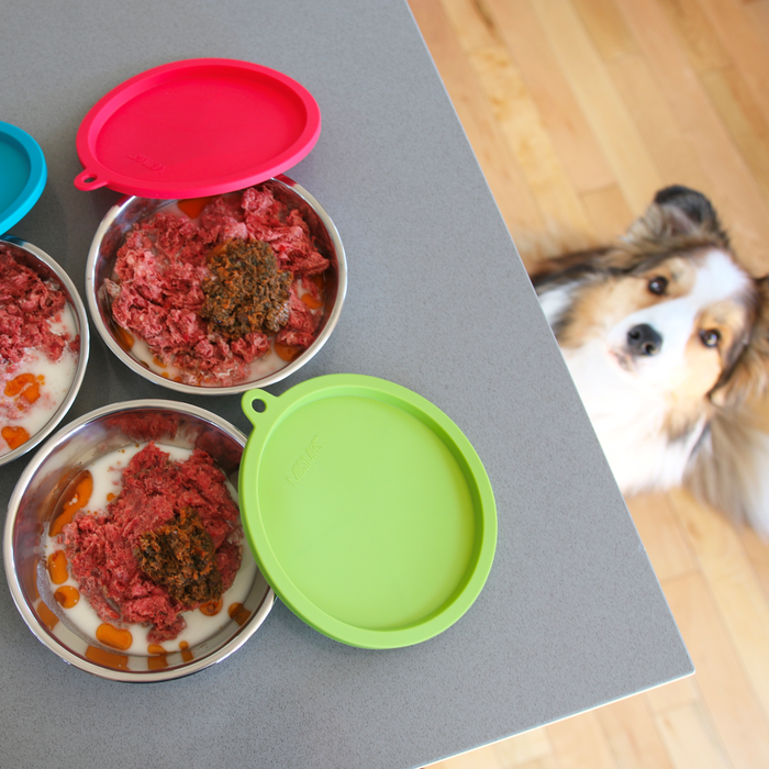 Messy Mutts - 3 Stainless Steel Bowls with 3 Lids (Medium)