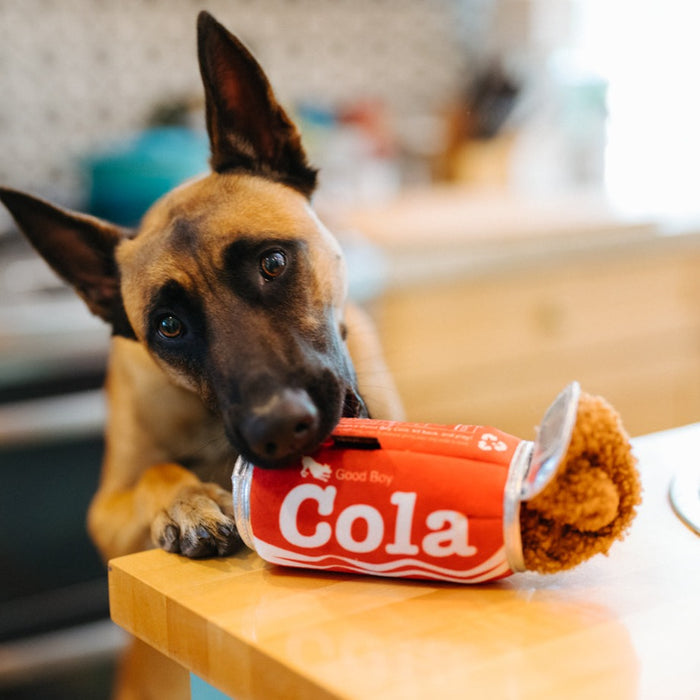 P.L.A.Y. Snack Attack - Good Boy Cola