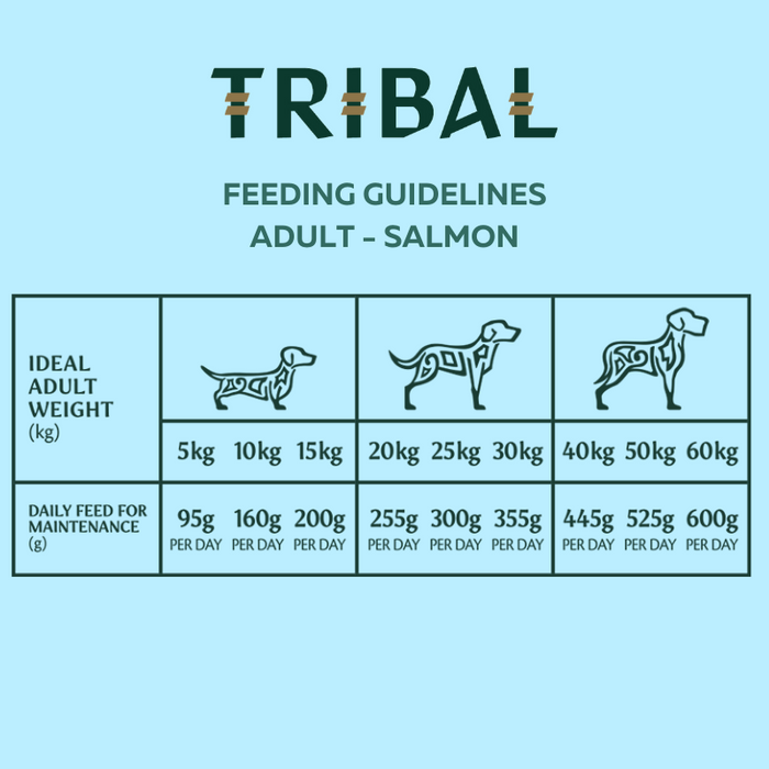 Feeding guide for Tribal Fresh Pressed Adult Salmon recipe. Daily feeding amounts are based on the ideal weight for your dog.