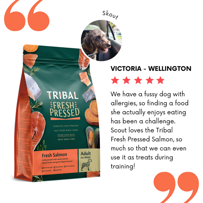 NZ dog food review for Tribal Fresh Pressed Adult Salmon recipe