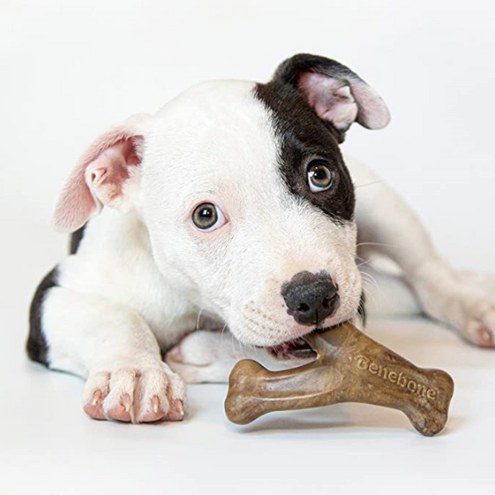 Benebone Bacon Chew Toys - For Puppies