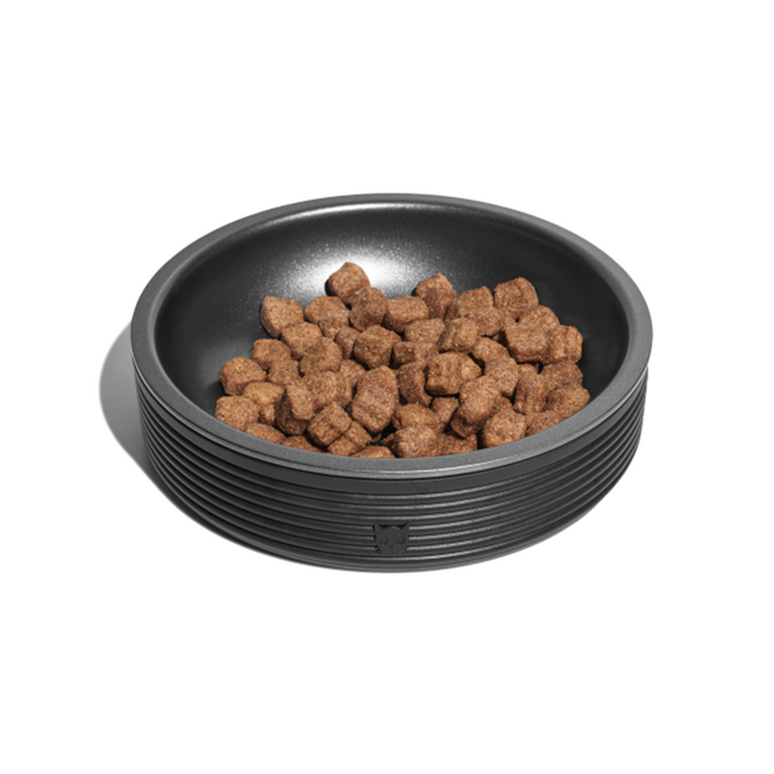 Zee.Cat Duo Bowl - Black