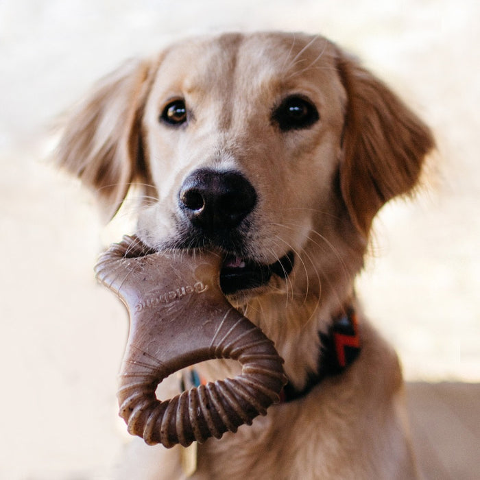 Benebone Dental Chew Toy - Medium