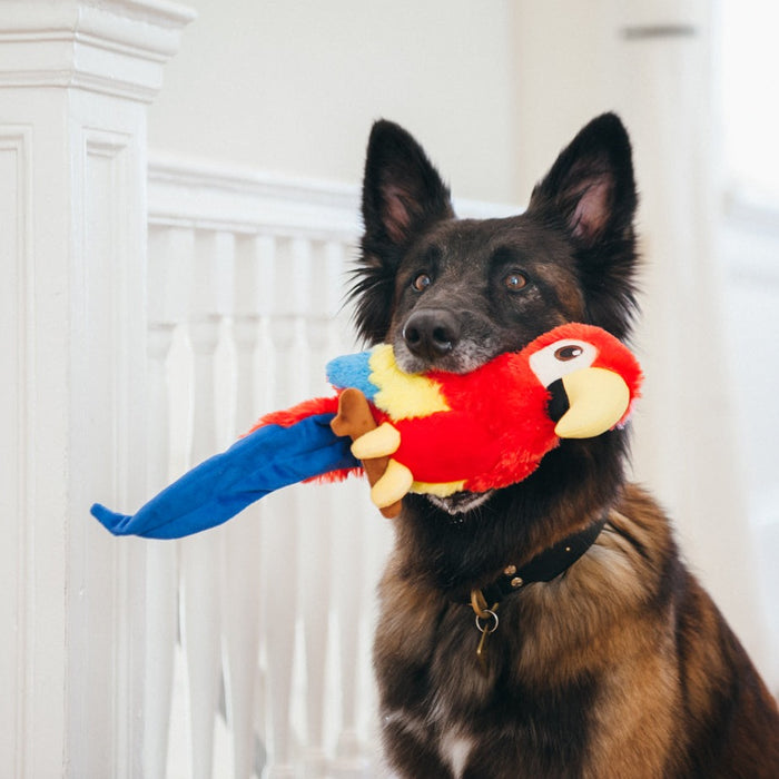 P.L.A.Y. Fetching Flock - Parrot