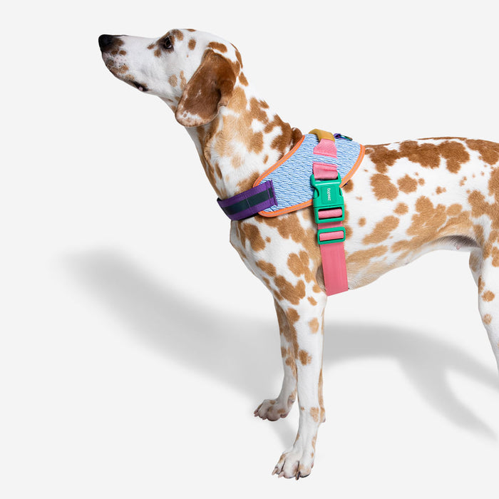 Zee.Dog | Galaxy Fly Harness